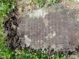 image of grave number 947918